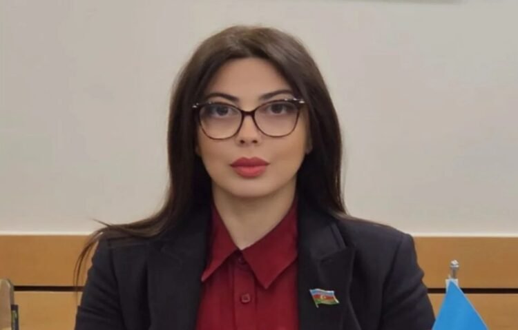 Xanım deputata vəzifə verildi