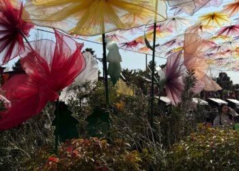 Novruzun ruhunu hiss etdirən məkan bu gündən fəaliyyətə başlayıb — FOTOLAR