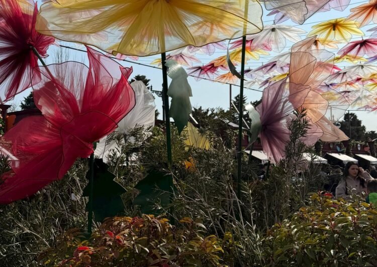 Novruzun ruhunu hiss etdirən məkan bu gündən fəaliyyətə başlayıb — FOTOLAR