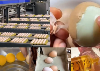 Çində istehsal edilən saxta yumurtalar Azərbaycanda da satılır? – RƏSMİ AÇIQLAMA