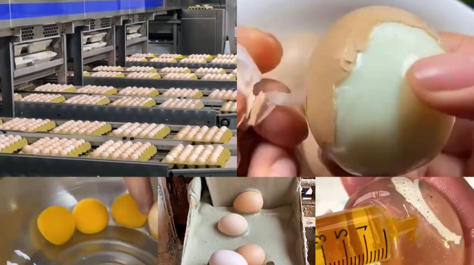 Çində istehsal edilən saxta yumurtalar Azərbaycanda da satılır? – RƏSMİ AÇIQLAMA
