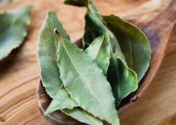 Aprelin bu günlərində dəfnə yarpağı yandırın – Həyatınız görün necə dəyişəcək