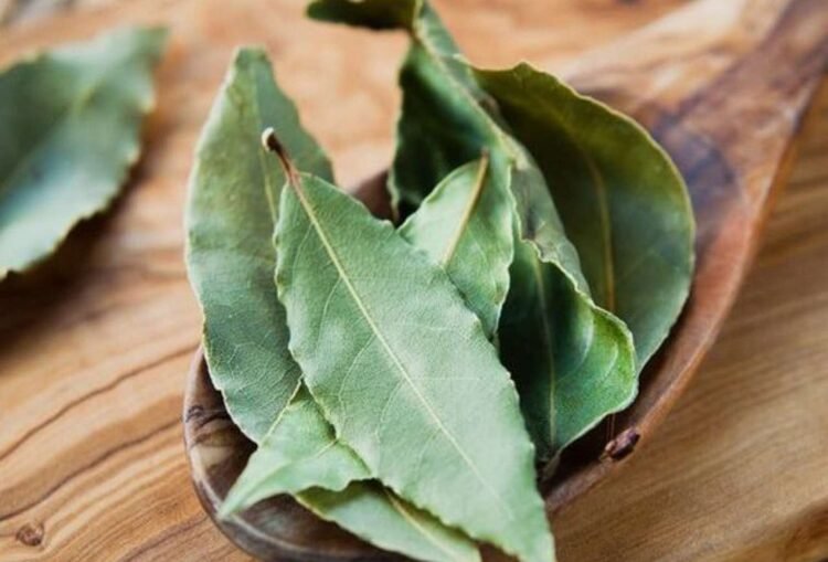 Aprelin bu günlərində dəfnə yarpağı yandırın – Həyatınız görün necə dəyişəcək