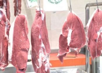 Heyvan idxalı azalıb: Ət yenə bahalaşacaq?