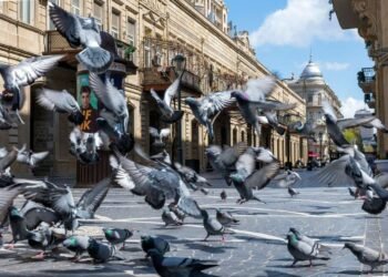 İstirahət günü 24° isti olacaq