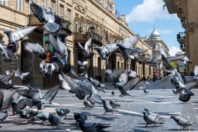 İstirahət günü 24° isti olacaq