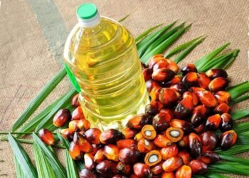 Kərə yağı deyənlər yanılır: Ən sağlam yağlar açıqlandı