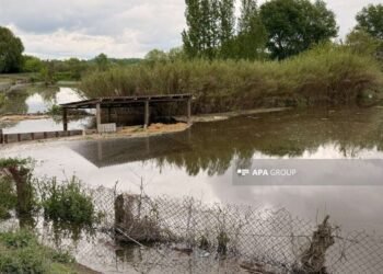 Kürün səviyyəsi artdı: Zərdabı su basdı – FOTO