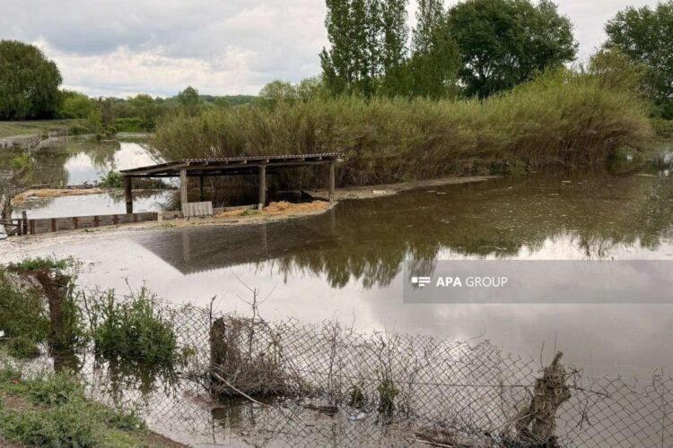 Kürün səviyyəsi artdı: Zərdabı su basdı – FOTO