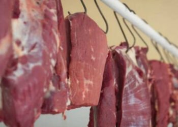 Bazarlardakı at əti – müsəlman yeyə bilərmi?