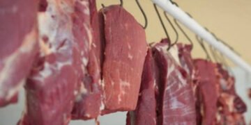 Bazarlardakı at əti – müsəlman yeyə bilərmi?