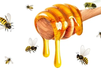 Azərbaycanda bu balların satışı QADAĞAN EDİLİR