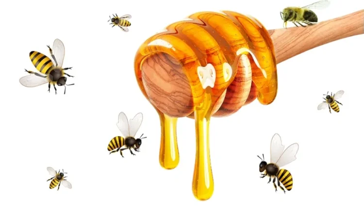 Azərbaycanda bu balların satışı QADAĞAN EDİLİR