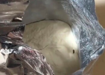 Uşaq qidasından həşərat çıxıb? – Nəzarətə götürüldü – VİDEO