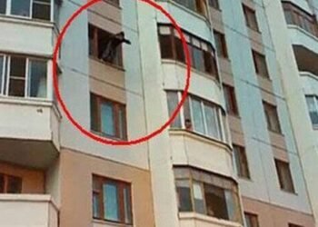 “AAAF Park”da 19 yaşlı qız 7-ci mərtəbədən yıxılıb öldü