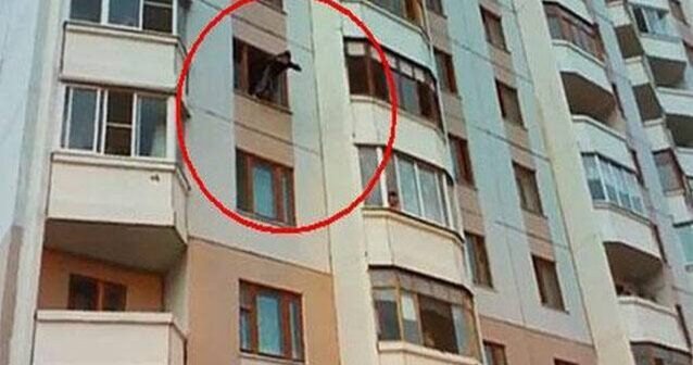 “AAAF Park”da 19 yaşlı qız 7-ci mərtəbədən yıxılıb öldü