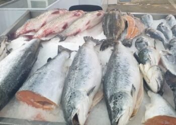 ABŞ İranla barışdı – Bakıda balıq ucuzlaşdı – Reportaj