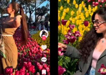 Bulvarda gülləri əzənlər məşhur blogerlər imiş – Adları – FOTO