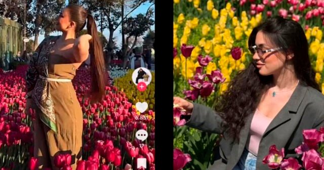 Bulvarda gülləri əzənlər məşhur blogerlər imiş – Adları – FOTO