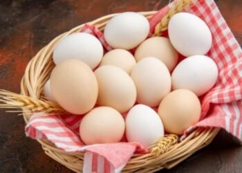Yumurta qiymətləri ilə bağlı ŞAD XƏBƏR – Bu TARİXDƏN…
