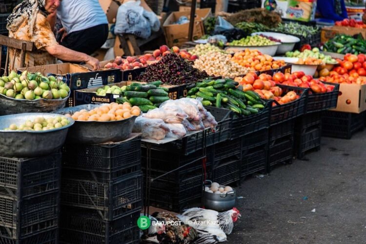Küçə ticarəti ilə məşğul olanlara şərait yaradılacaq