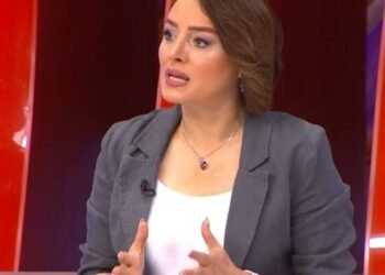 Mübahisə yaradan çıxışların anatomiyası – Səidə Bəkirqızı, belə olmaz axı!