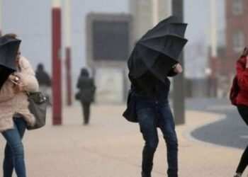 Küləkli hava şəraiti ilə bağlı sarı xəbərdarlıq verildi
