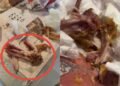 KFC müştərilərə qanlı toyuq satır? – ŞİKAYƏT + VİDEO