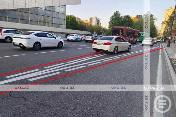 Avtobus zolaqlarında yeni xətlər: Nəyi ifadə edir? – VİDEO