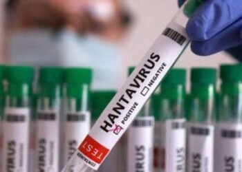 ÜST-dən hantavirus xəbərdarlığı – Yeni yoluxmalar ola bilər