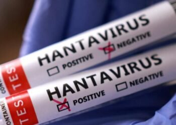 Hantavirus ürəyi vurur: Bu şəxslər daha tez yoluxa bilər