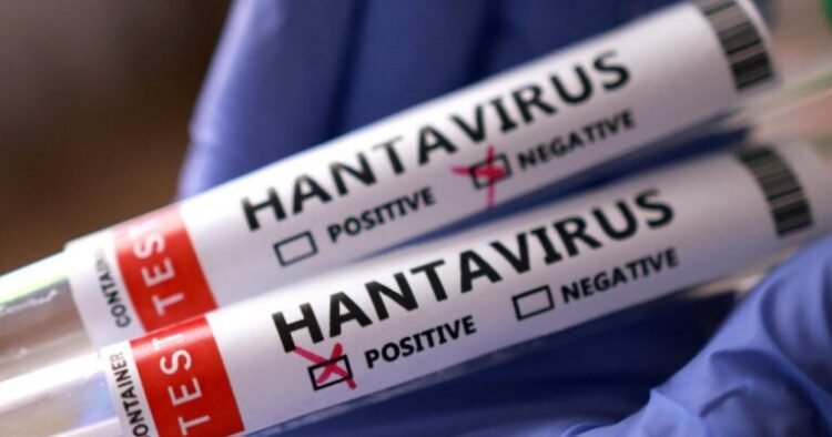 Hantavirus ürəyi vurur: Bu şəxslər daha tez yoluxa bilər