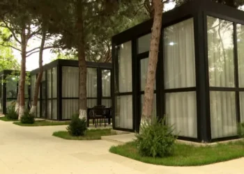 Ağaclar kəsildi, yerində ÇAYXANA TİKİLDİ