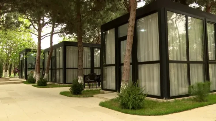 Ağaclar kəsildi, yerində ÇAYXANA TİKİLDİ