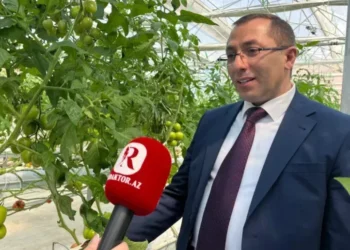“Növbəti illərdə şagirdlərin təhsil göstəriciləri aşağı düşə bilər” – XƏBƏRDARLIQ