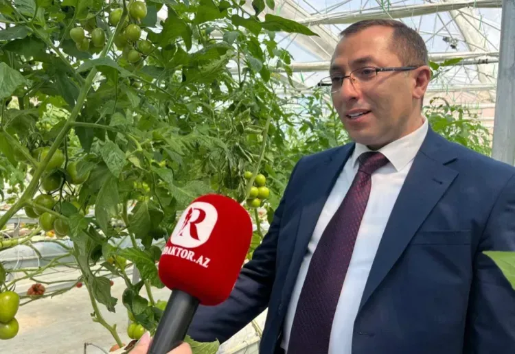 “Növbəti illərdə şagirdlərin təhsil göstəriciləri aşağı düşə bilər” – XƏBƏRDARLIQ