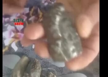Azərbaycanda tapdığı daşı satışa çıxardı: qramı 2 milyon dollar… – VİDEO