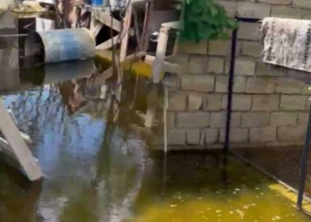 Sumqayıtda laqeydliyin bataqlığa çevirdiyi yaşayış ərazisi