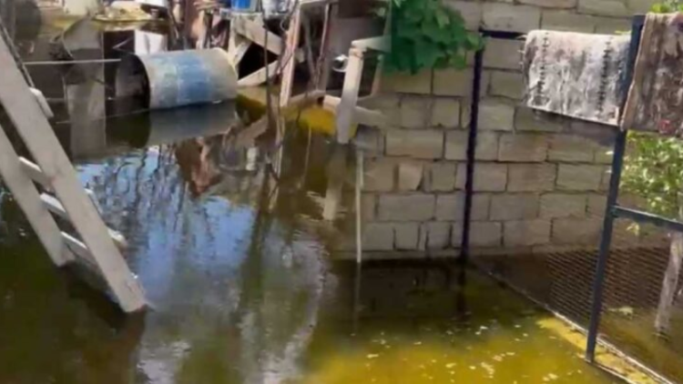 Sumqayıtda laqeydliyin bataqlığa çevirdiyi yaşayış ərazisi