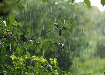 Qış geri qayıdır: Hava birdən-birə 10 dərəcə soyuyacaq – XƏBƏRDARLIQ