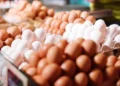 Yumurta niyə 1 qəpiyə satılır? – SƏBƏB AÇIQLANDI