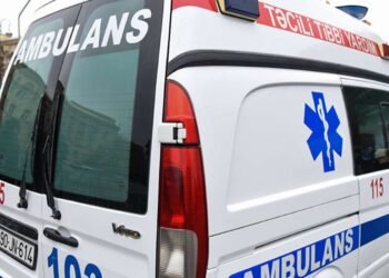 Bakıda 71 yaşlı kişi ağacdan yıxılıb öldü