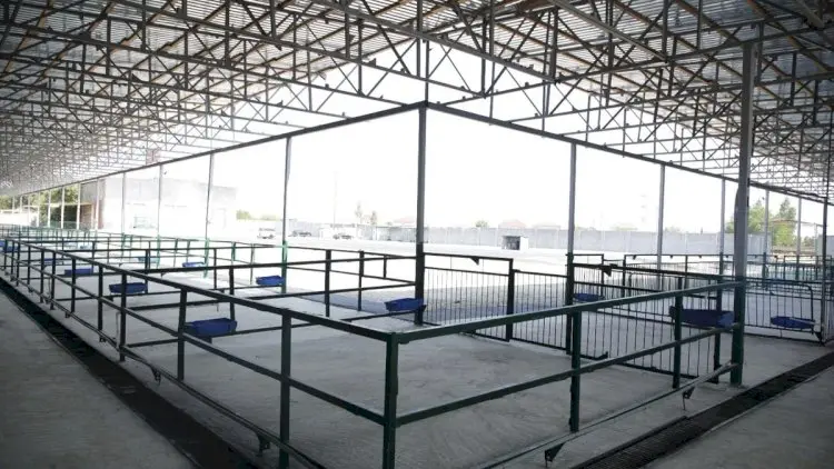 Bakıda yeni bazar fəaliyyətə başladı