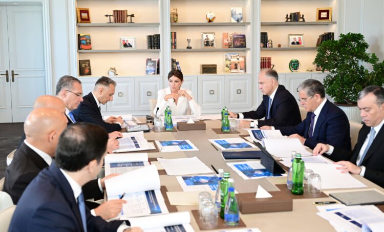 Birinci vitse-prezident Mehriban Əliyevanın sədrliyi ilə Rəqəmsal İnkişaf Şurasının ilk iclası keçirildi – FOTO