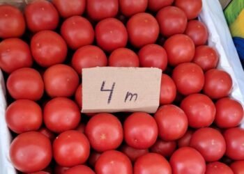 Pomidor yenə bahalaşır?