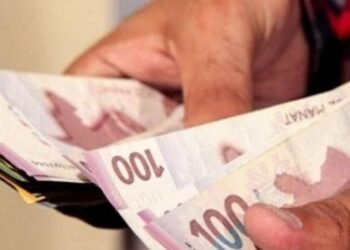 Üzüm yarpağını zibilliyə atdı, 150 manat cərimələndi