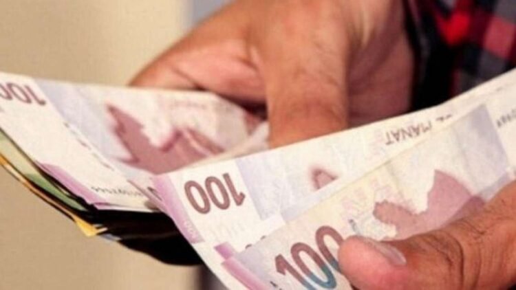 Üzüm yarpağını zibilliyə atdı, 150 manat cərimələndi