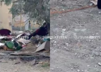Sumqayıtın intensiv istifadə olunan ərazisindəki baxımsızlıq…