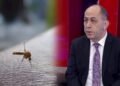 Buna görə Bakıda bu il ağcaqanad çoxdur — Adil Qeybulla
