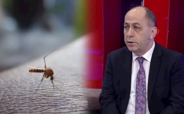 Buna görə Bakıda bu il ağcaqanad çoxdur — Adil Qeybulla